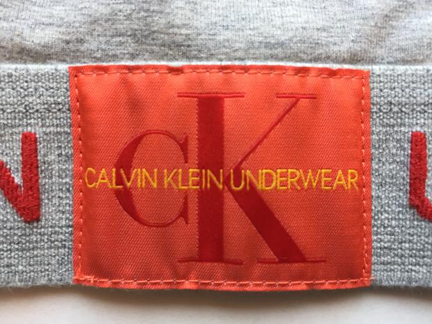 Спортивный комплект Calvin Klein Monogram серый Топ-лиф стринги фото 4