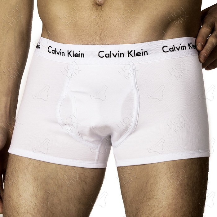 Комплект белья боксеры/хипсы Calvin Klein 38 фото 6