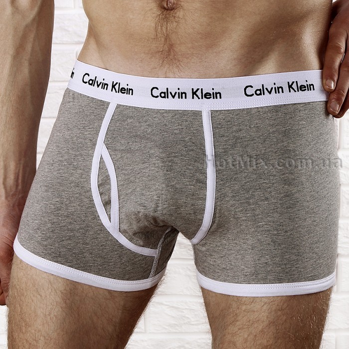 Комплект белья боксеры/хипсы Calvin Klein 38 фото 10
