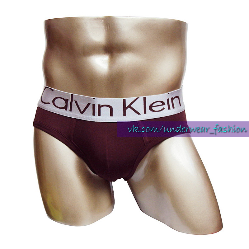 Мужские трусы брифы Calvin Klein Brief Steel Brown фото 2