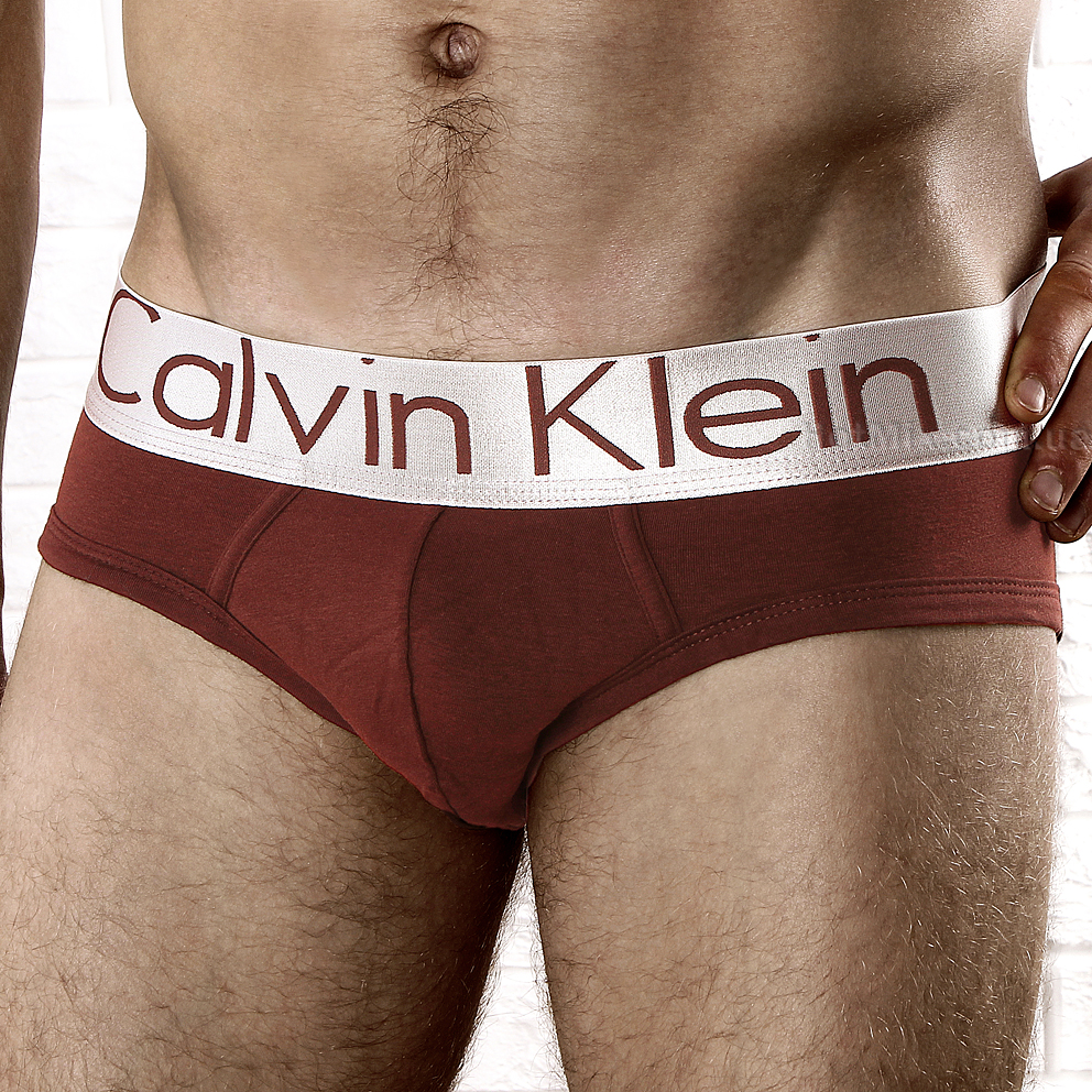 Мужские трусы брифы Calvin Klein Brief Steel Brown фото 1